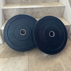 45 lb Bumper Plates (set of 2)