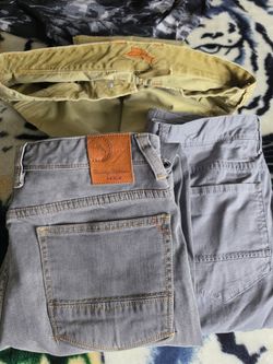Tommy  Bahamas  mens pants