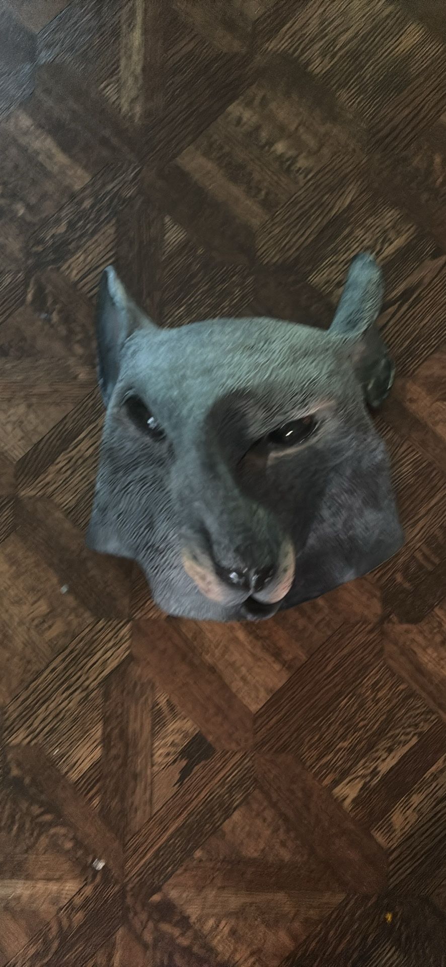 Rat face mask 