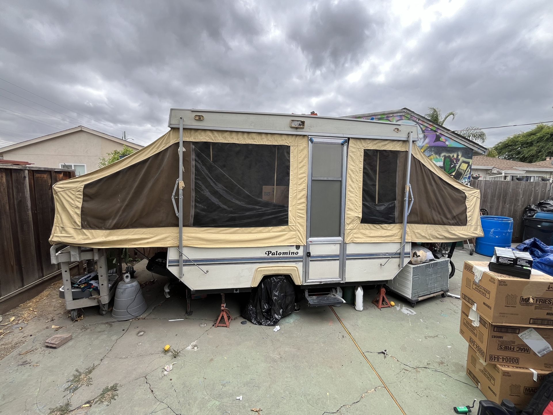 Pop Up Palomino