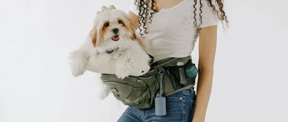 Brand new tush puppy pet carrier