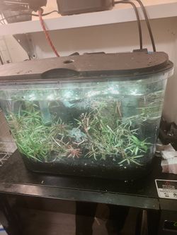 Acrylic Aquarium Kit 6-8 Gallon