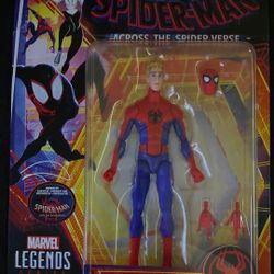 Marvel Legends Series  Spider-Man 