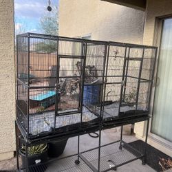 huge Birdcage