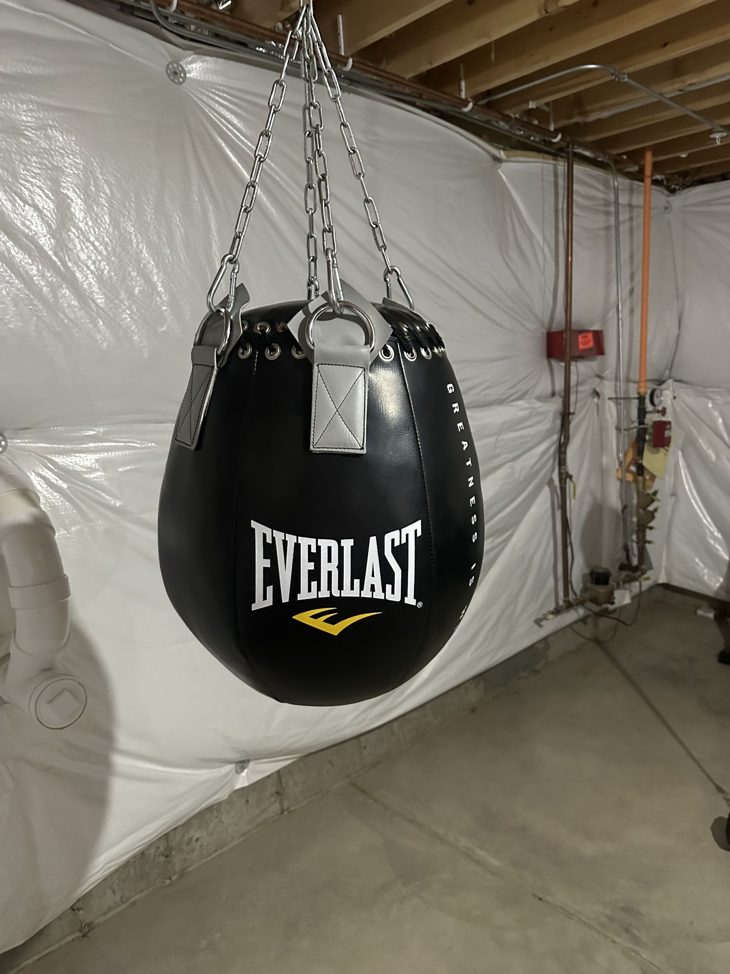 Everlast Wrecking Ball Heavy Bag