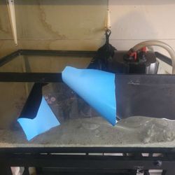 40 Gallon Breeder With Stand And Canister 