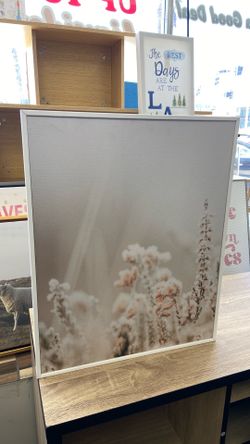 Framed Botanical Wall Art