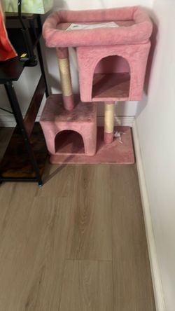 Cat stairs
