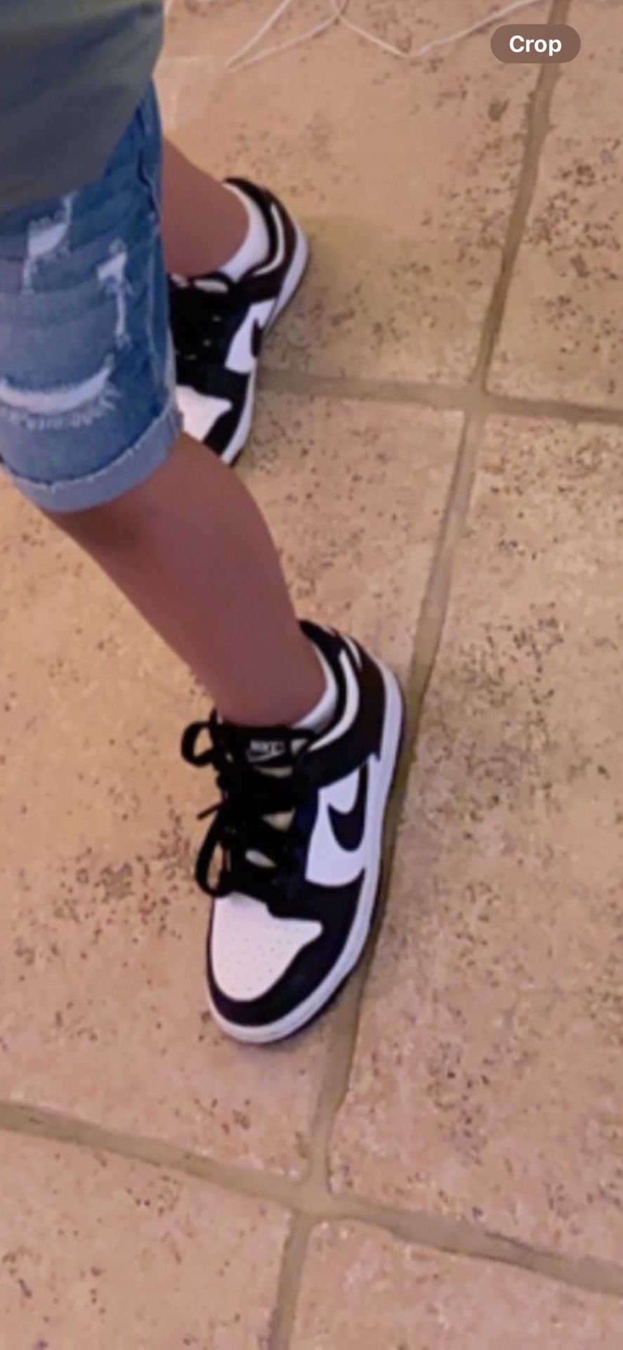 Kids Nike Low Dunks