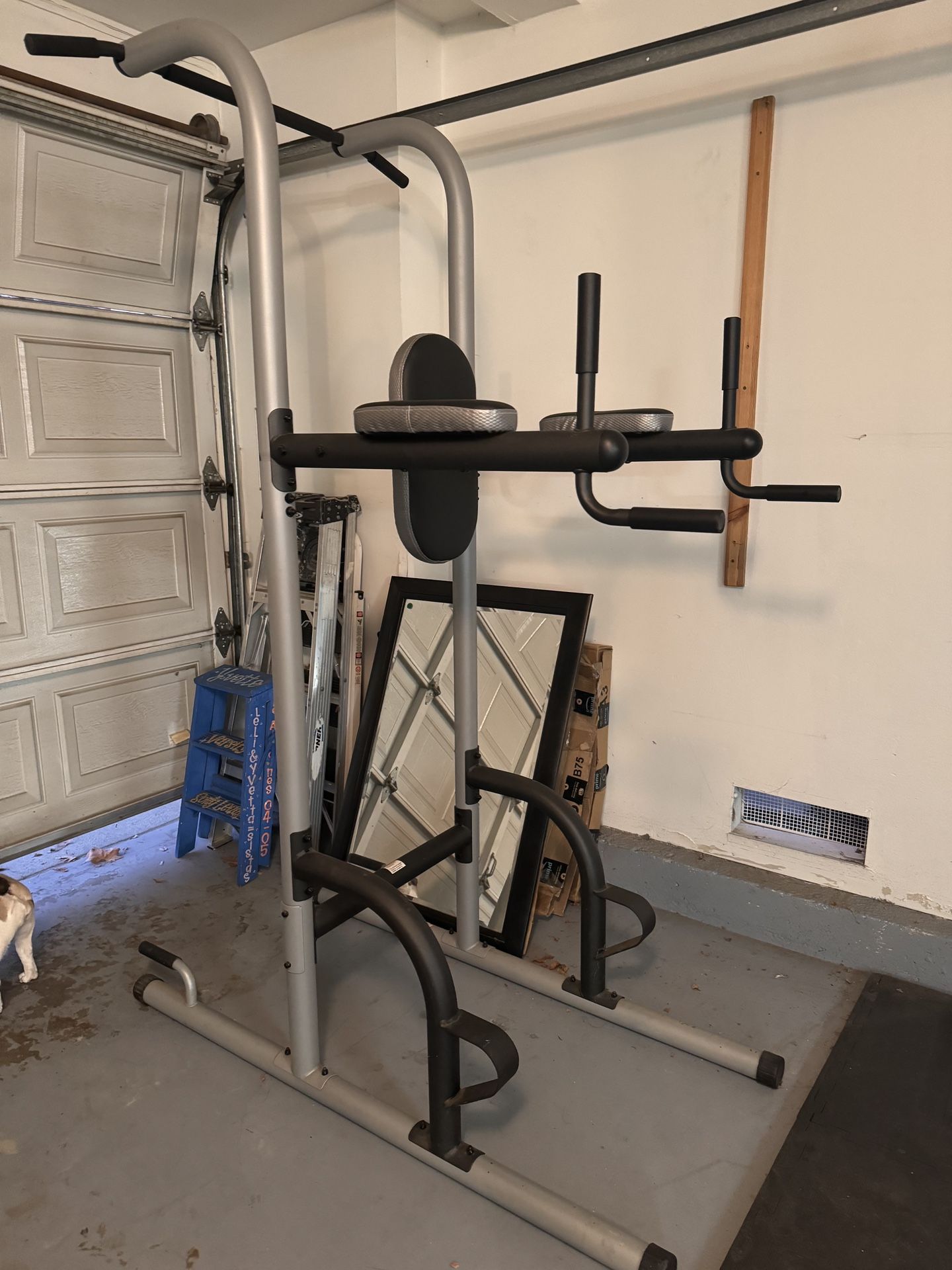 PULL UP AND DIP STATION BRAND NEW $65