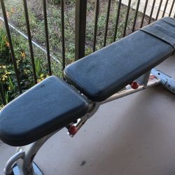 Star Trac Adjustable Work Out Bench 