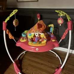 Fisher-Price Pink Petals Jumperoo