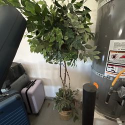 Great Fake Plant 