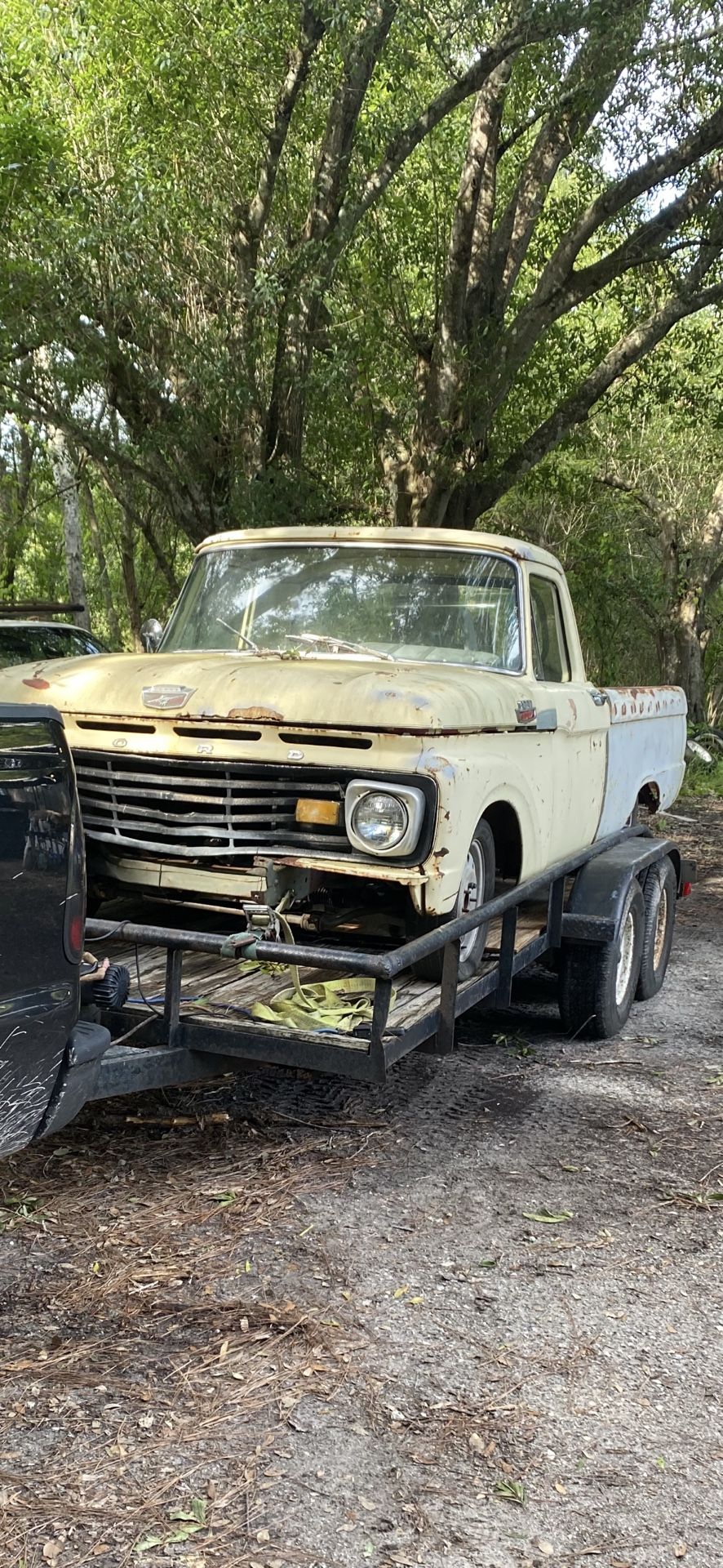1964 F100