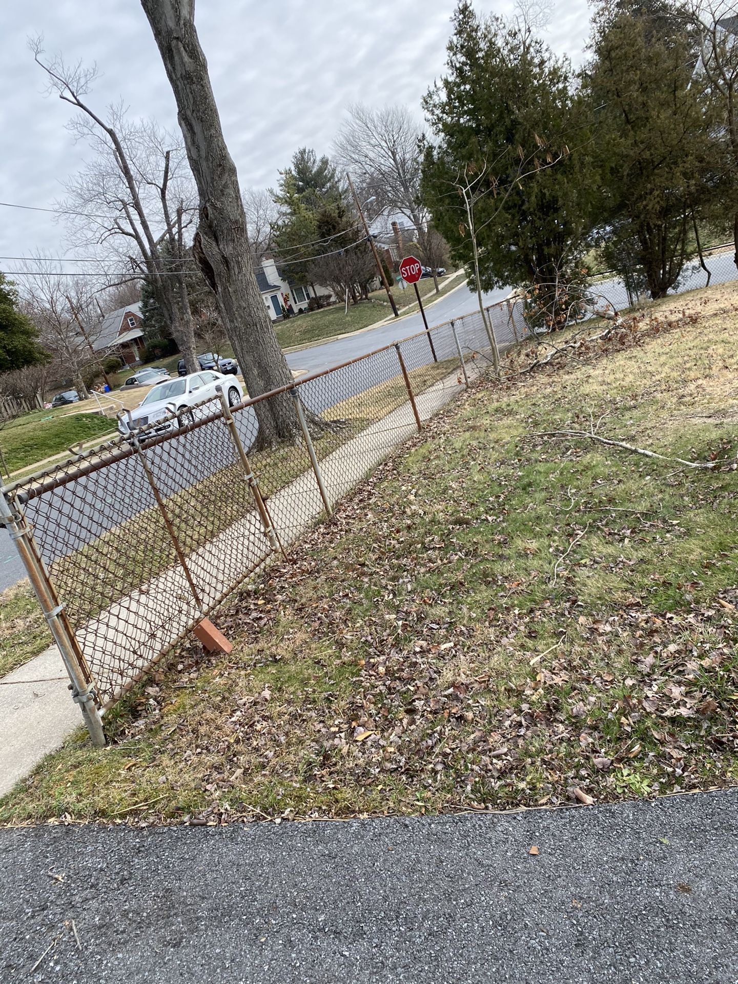 Fence poles need to be removed. Please send me quote, about 18 of them