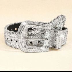 Shiny Silver Belt