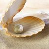 Pearls Of Heaven