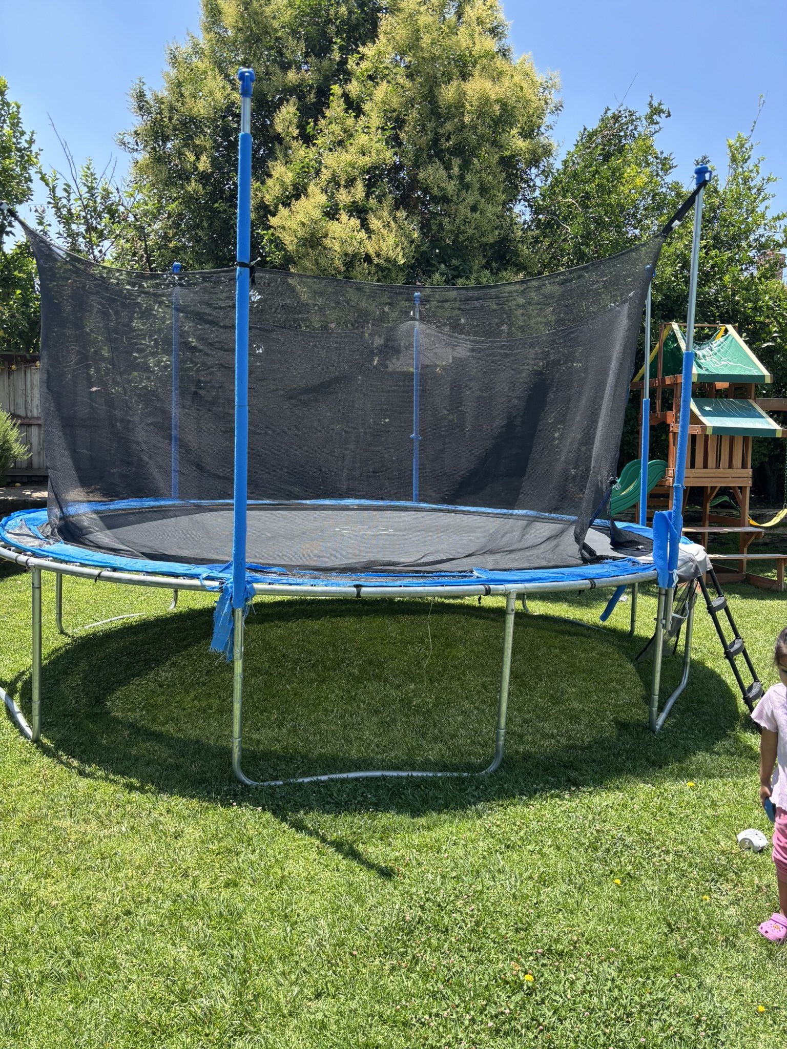 Trampoline