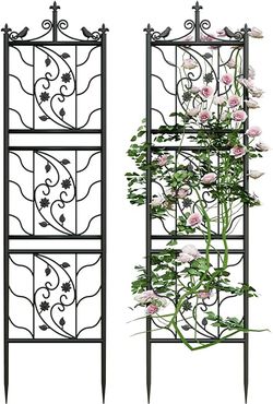 Metal 67 * 19 Garden Trellis 2-Packs for Climbing Plants Flowers Vegetables Planting Arched Outdoor Decoration for Courtyards Lawns Gardens