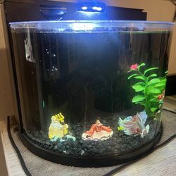 Top Fin Betta Fish Tank 