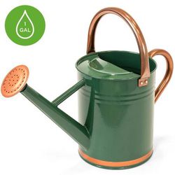 1-Gallon Galvanized Steel Watering Can w/ O-Ring