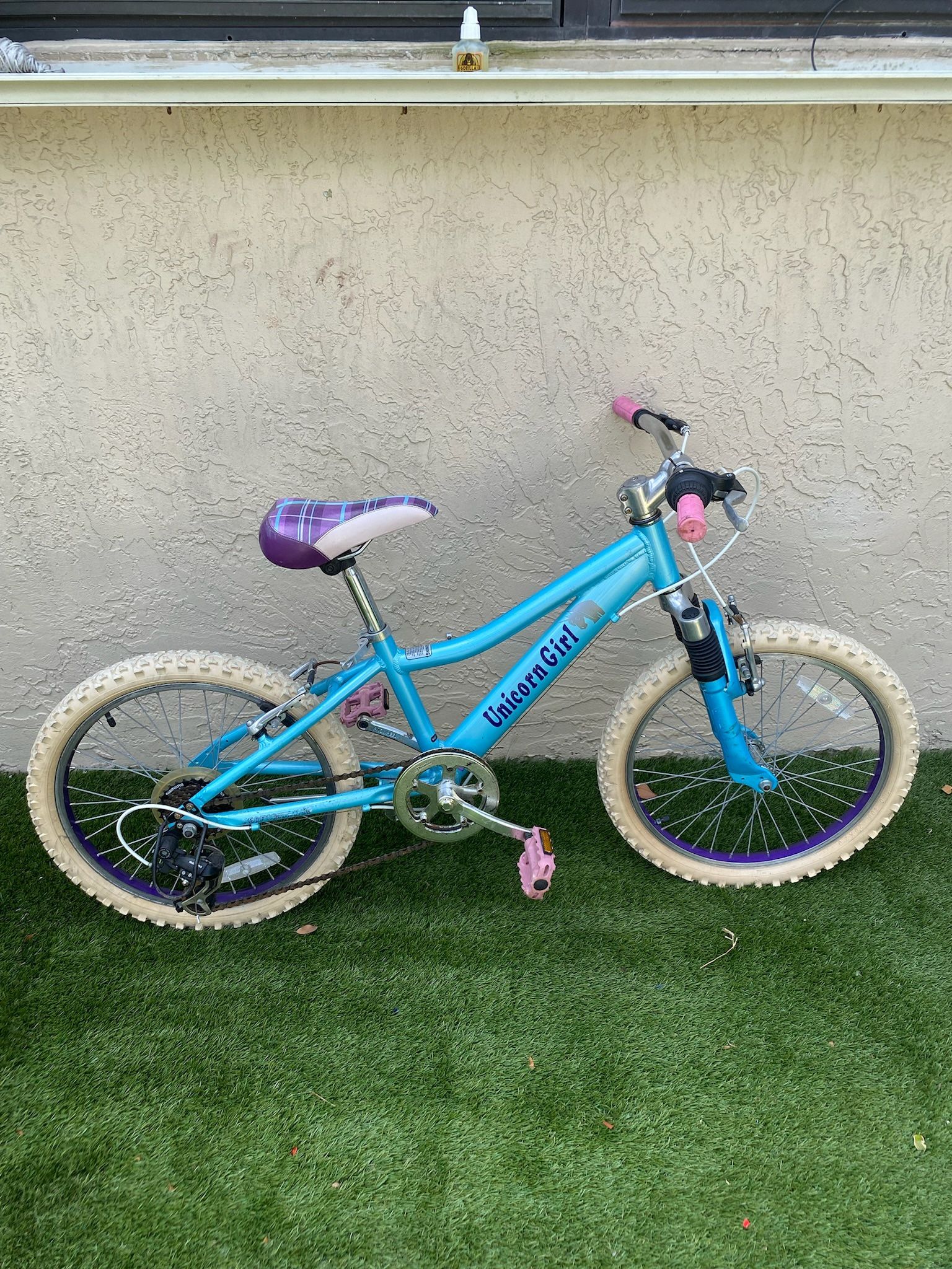 Youth Bike - 20 inch Girl’s Bike -Delivery for a Fee -See My Items