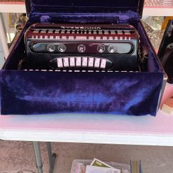 Beautiful Accordion 