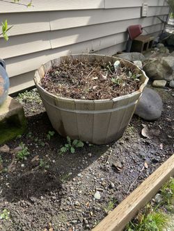 2 Wooden Cedar Wood Containers