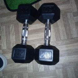 20lb Dumbells 
