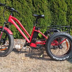 Trike Electric $1,100.00