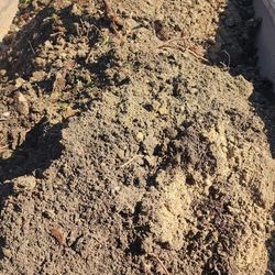 Free Clean Dirt  Delivery Free