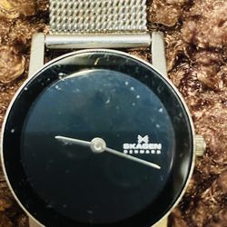 Skagen Denmark Watch