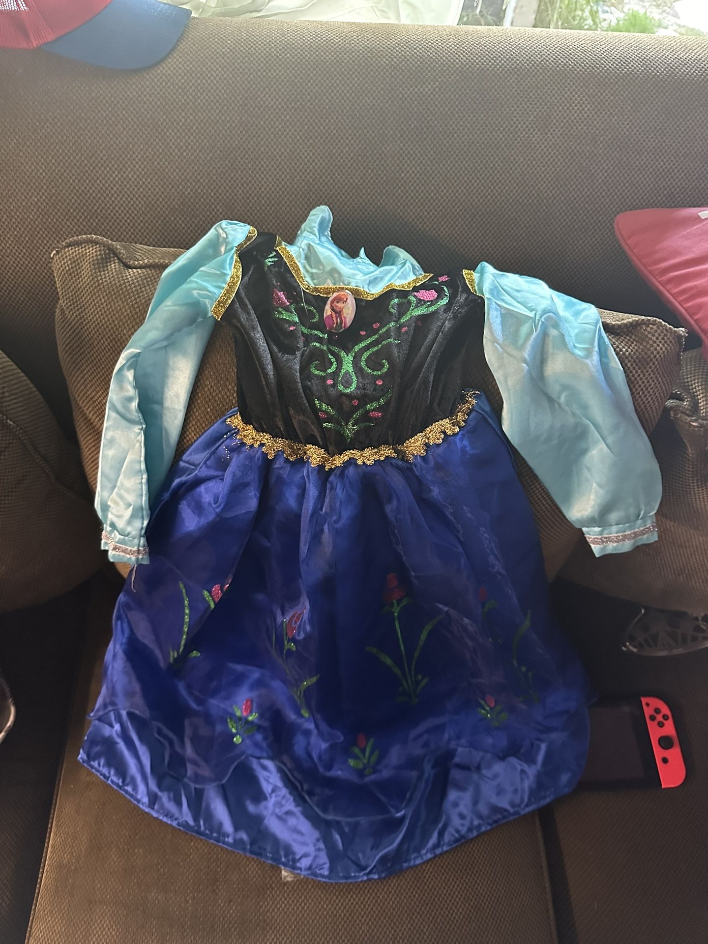 Ana and Rapunzel Costumes