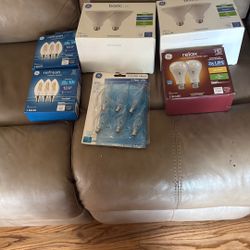 Light Bulbs 