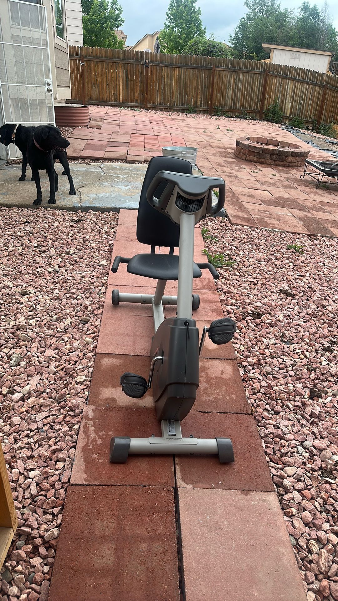 Exercise Bicicleta