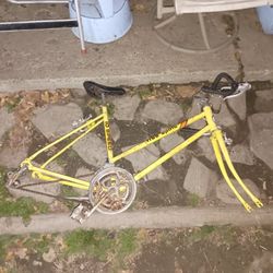 10 Speed Free Spirit Sears Roebuc And Co 07 80 FRAME ONLY