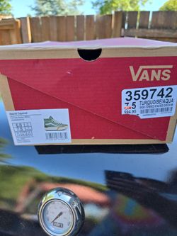 Vans skate shoes