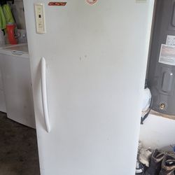 Frigidaire Stand Up Freezer 