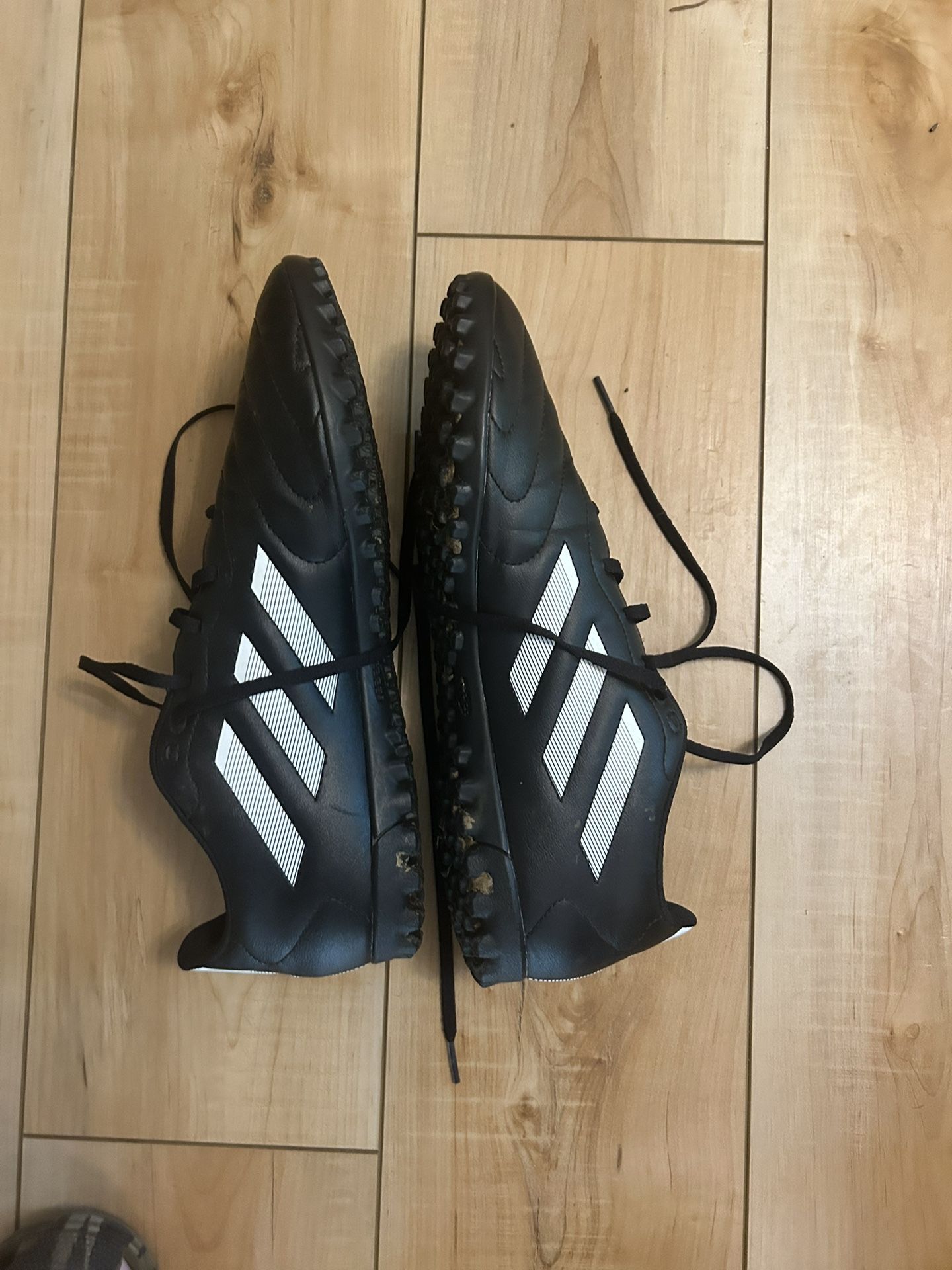 Men’s Size 13 Shoes