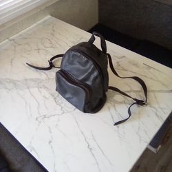 Universal Thread Goods Co. Small Backpack 