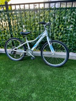 GIANT REVEL YOUTH BIKE 24” Wheels
