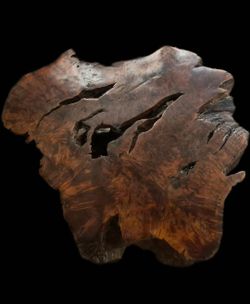 Live-Edge Burl Coffee Table