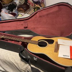 Guitar APPLAUSE 