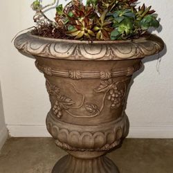 Plants Vase