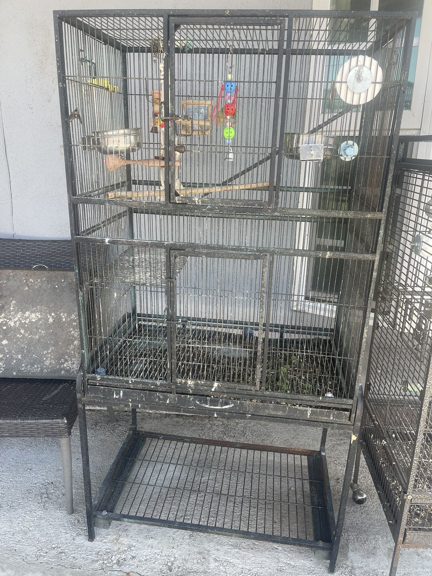 Jaula Para Ringnecks