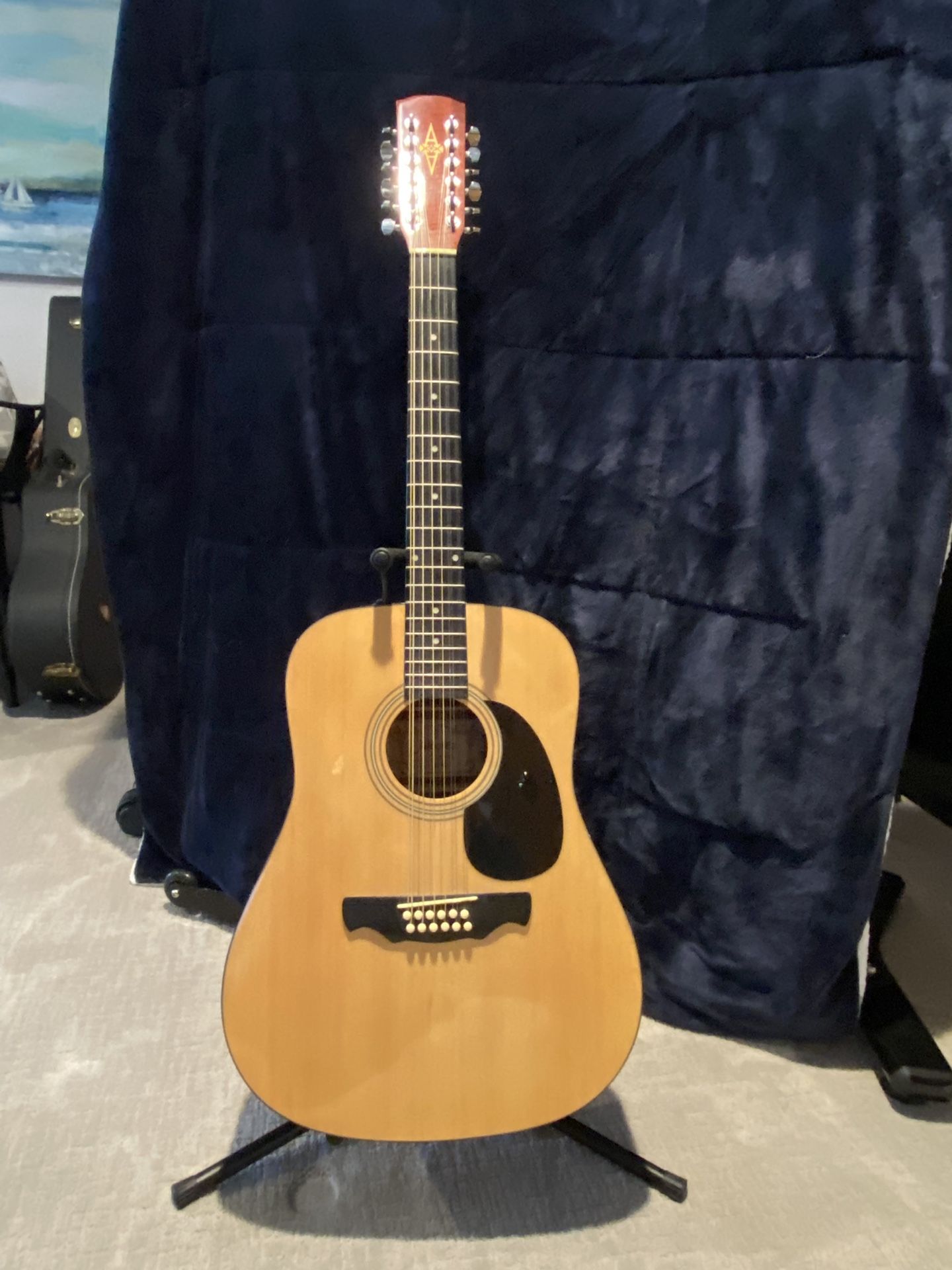Alvarez 12 String Guitar