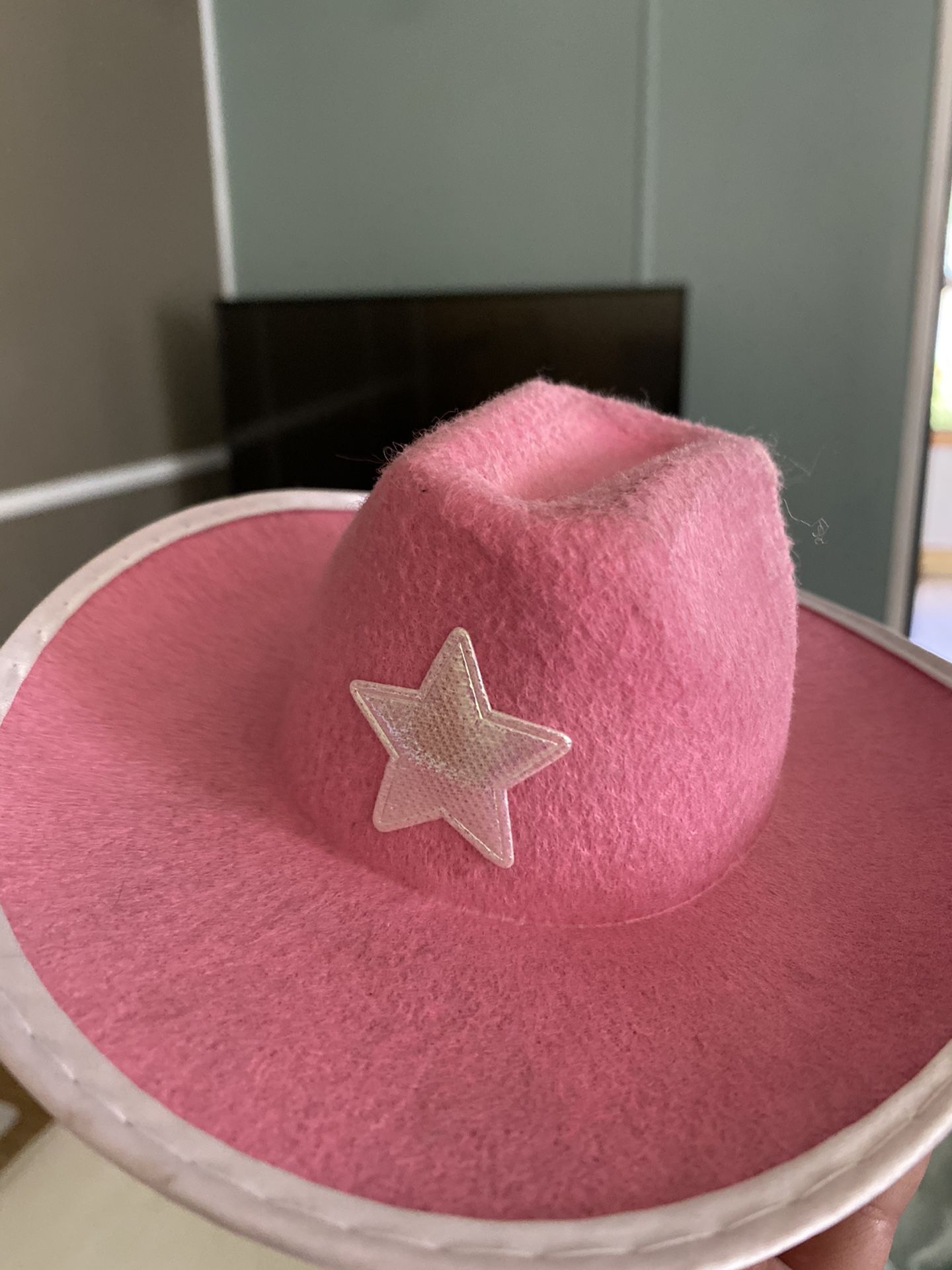 Pet hat For Small Animal