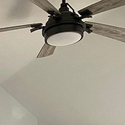 Ceiling Fan