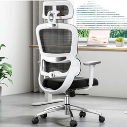 Ergonomic Chair Brand New