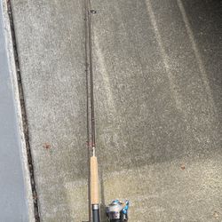 Fishing Rod And Real 